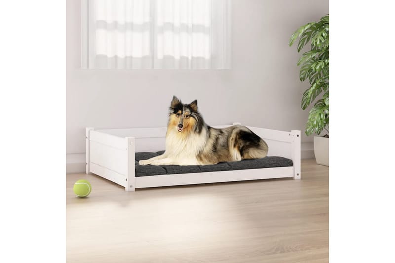 beBasic Hundeseng hvit 95,5x65,5x28 cm heltre furu - Hvit - Sport & fritid - Til dyrene - For hund - Hundemøbler - Hundekurv & hundeseng