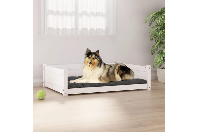 beBasic Hundeseng hvit 95,5x65,5x28 cm heltre furu - Hvit - Hundekurv & hundeseng - Hundemøbler