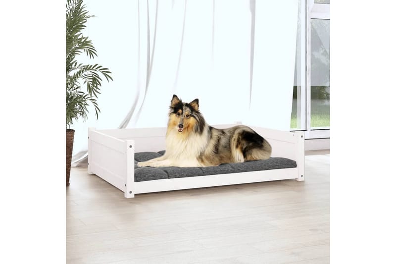 beBasic Hundeseng hvit 95,5x65,5x28 cm heltre furu - Hvit - Sport & fritid - Til dyrene - For hund - Hundemøbler - Hundekurv & hundeseng