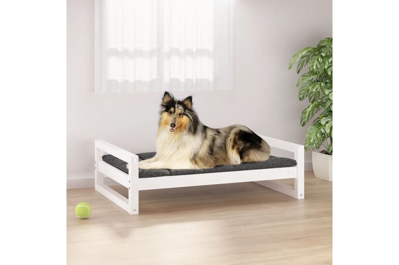 beBasic Hundeseng hvit 95,5x65,5x28 cm heltre furu - Hvit - Hundekurv & hundeseng - Hundemøbler