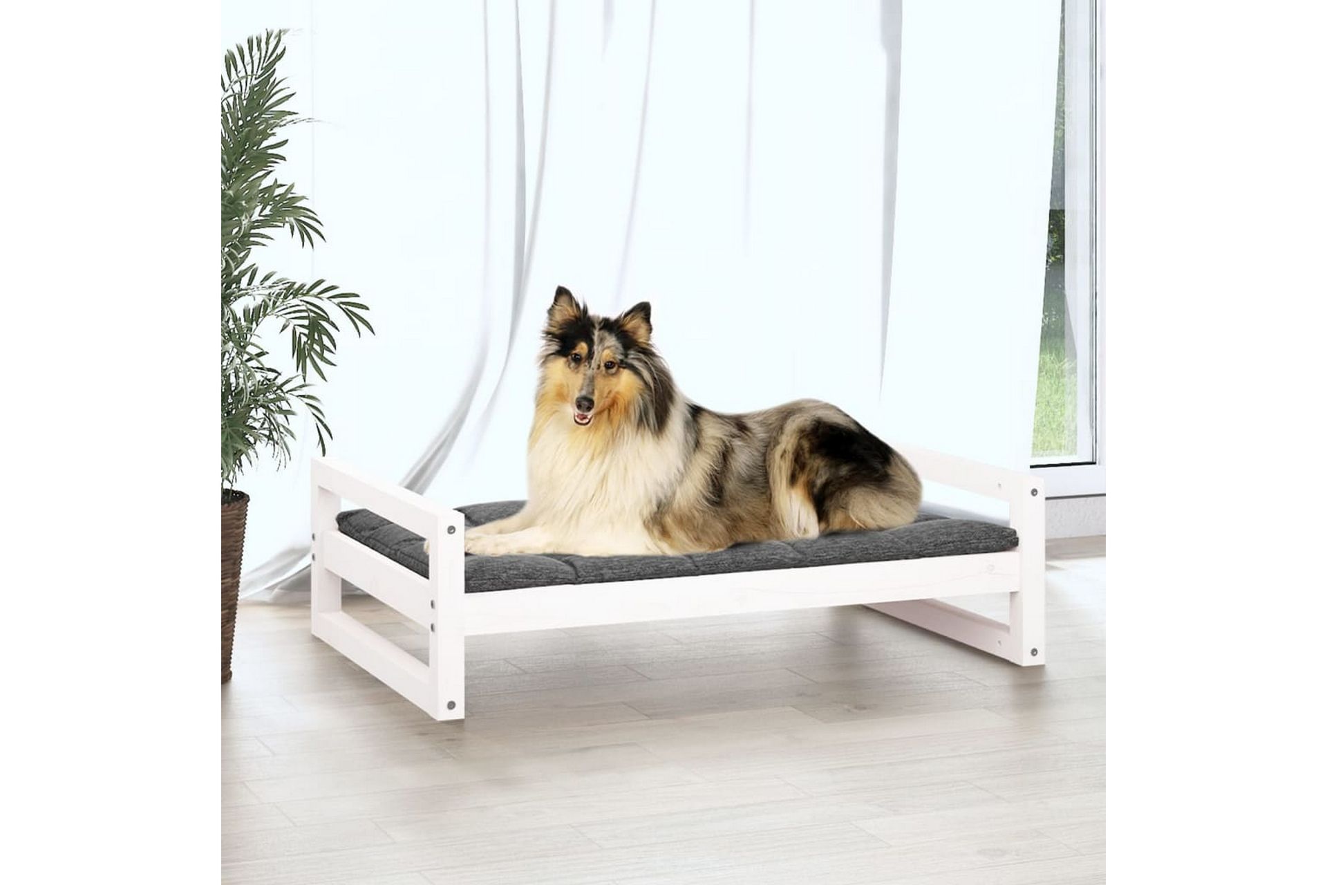 beBasic Hundeseng hvit 95,5x65,5x28 cm heltre furu - Hvit - Sport & fritid - Til dyrene - For hund - Hundemøbler - Hundekurv & hundeseng