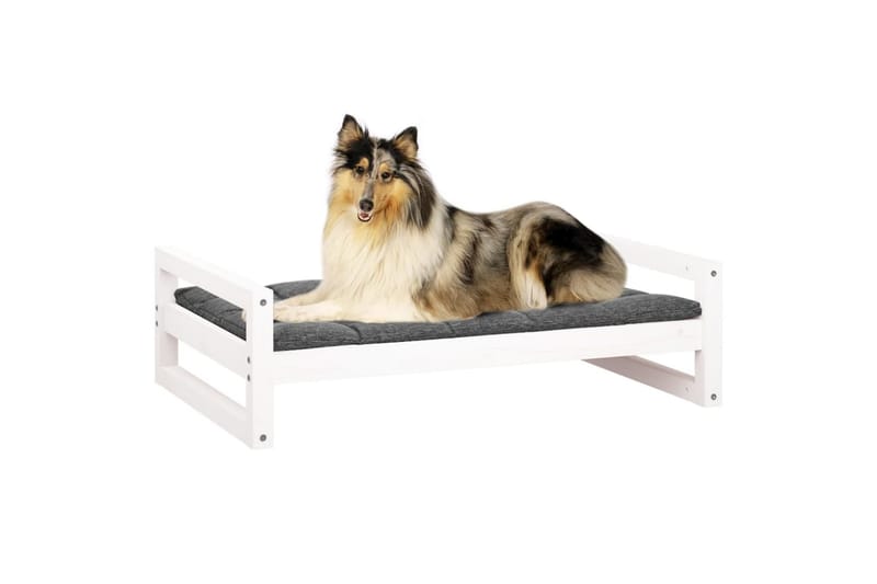 beBasic Hundeseng hvit 95,5x65,5x28 cm heltre furu - Hvit - Hundekurv & hundeseng - Hundemøbler