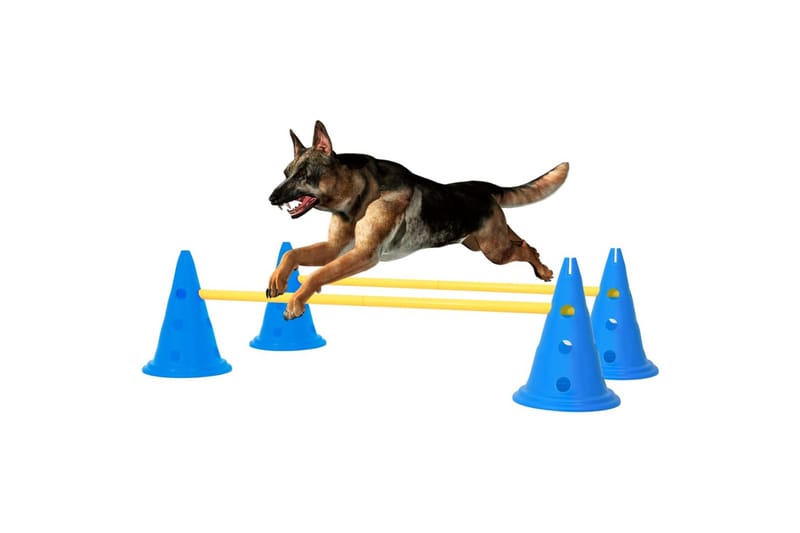 Hindringssett for hundeaktivitet blå og gul - Blå - Sport & fritid - Til dyrene - For hund - Hundetilbehør & hundeaccessoarer
