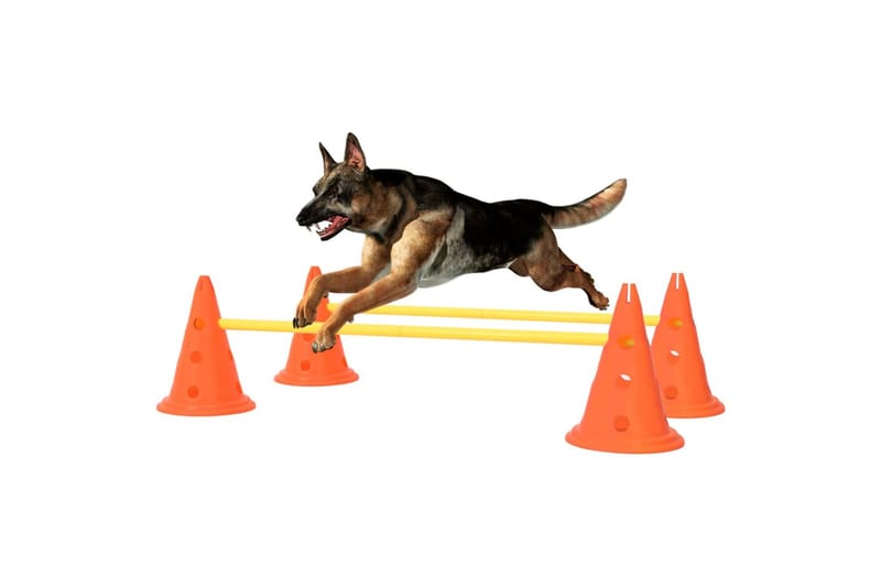 Hindringssett for hundeaktivitet oransje og gul - Oransj - Sport & fritid - Til dyrene - For hund - Hundetilbehør & hundeaccessoarer
