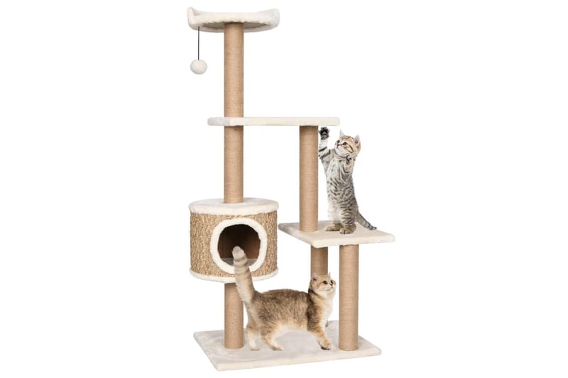 Kattetre med klorestolpe 123 cm sjøgress - Beige - Sport & fritid - Til dyrene - Katt - Kattemøbler - Klorestativ & kloremøbler