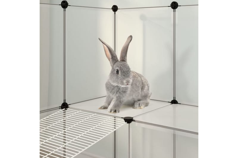 beBasic Smådyrbur gjennomsiktig 142x74x93 cm PP og stål - Gjennomsiktig - Sport & fritid - Til dyrene - Små dyr - Bur smådyr - Kaninbur & kaninhus