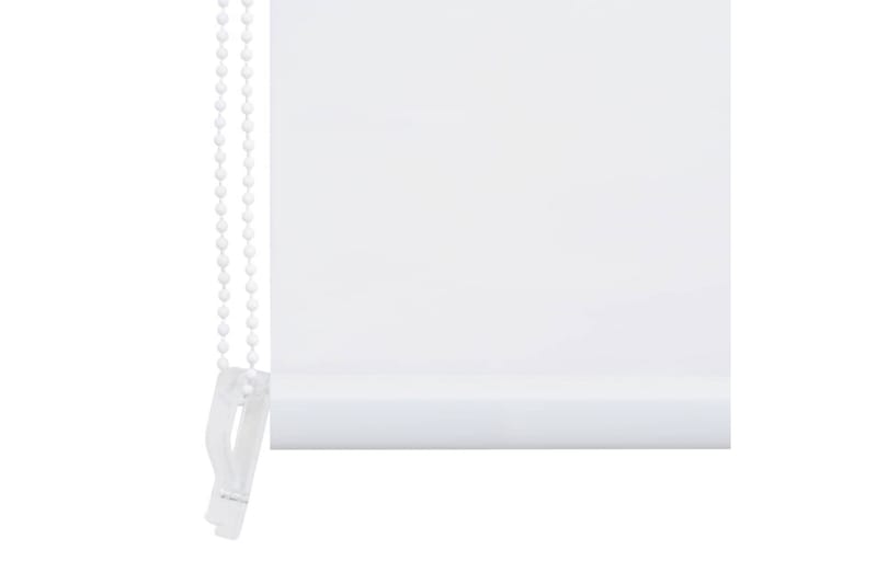 Dusjforheng 80x240 cm hvit - Hvit/Halvtransparent - Rullegardin