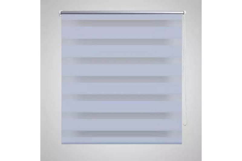Rullegardiner sebramønstret 100 x 175 cm hvit - Hvit/Transparent - Rullegardin
