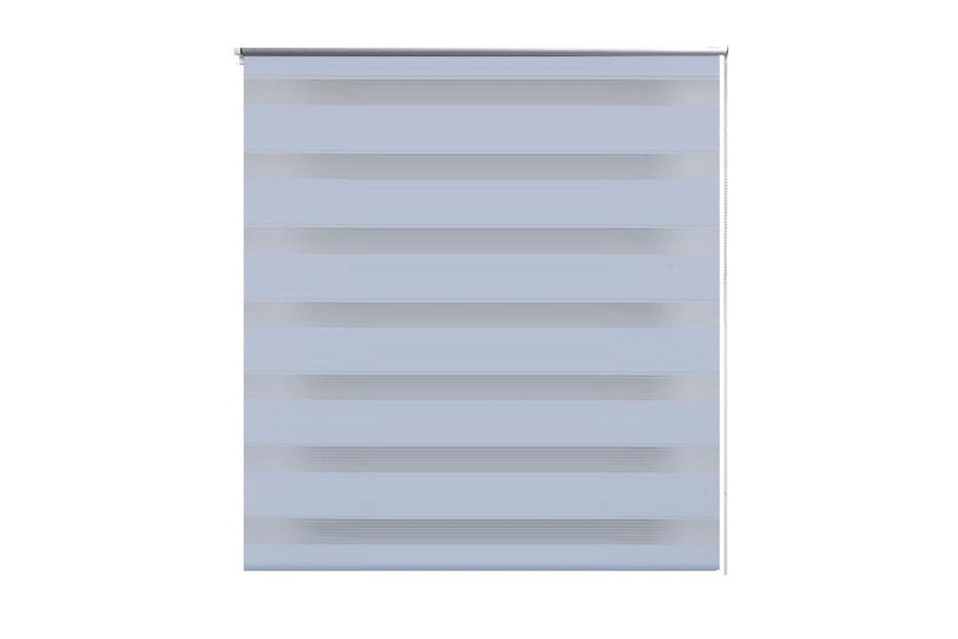 Rullegardiner sebramønstret 120 x 175 cm hvit - Hvit/Transparent - Tekstiler - Gardiner - Rullegardin