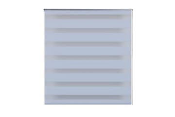 Rullegardiner sebramønstret 120 x 175 cm hvit - Hvit/Transparent - Tekstiler - Gardiner - Rullegardin