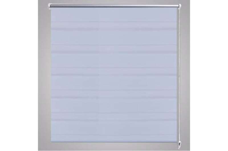 Rullegardiner sebramønstret 120 x 175 cm hvit - Hvit/Transparent - Tekstiler - Gardiner - Rullegardin