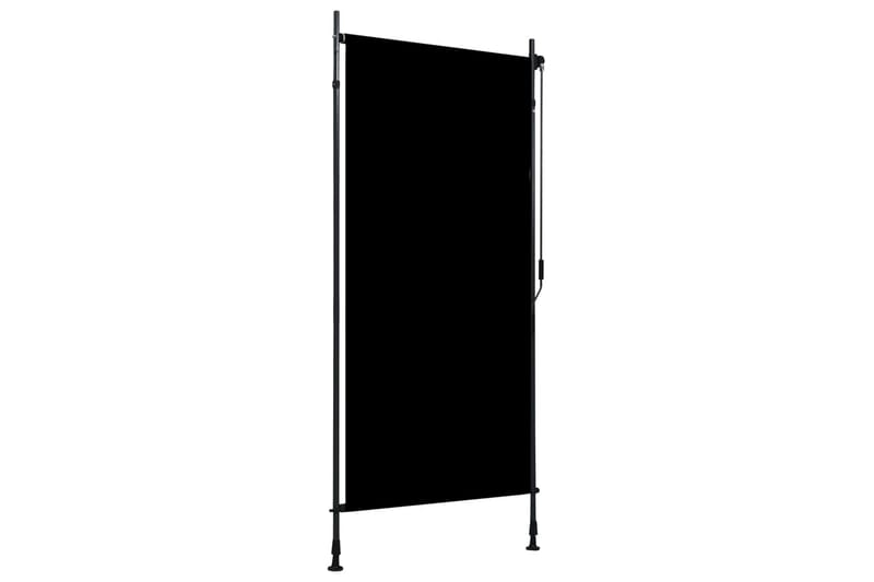 Utendørs rullegardin 100x270 cm antrasitt - Grå - Tekstiler - Gardiner - Rullegardin