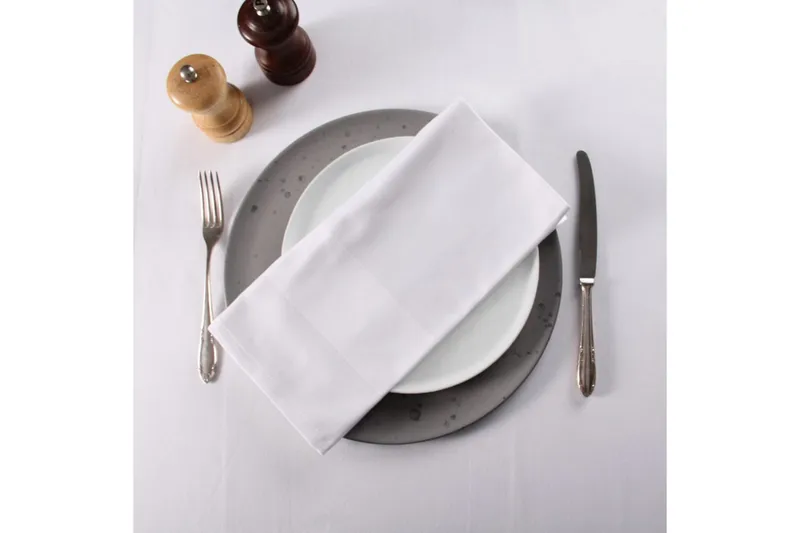 Serviett Fritz Magnus Trading Delight 50 x 50 cm Hvit - Tekstiler - Kjøkkentekstiler - Tøyservietter