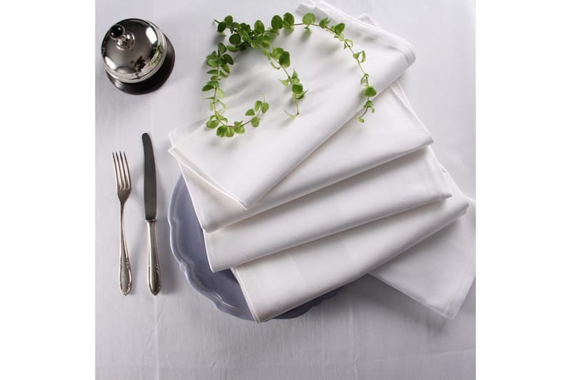 Serviett Fritz Magnus Trading Delight 50 x 50 cm Hvit - Tekstiler - Kjøkkentekstiler - Tøyservietter