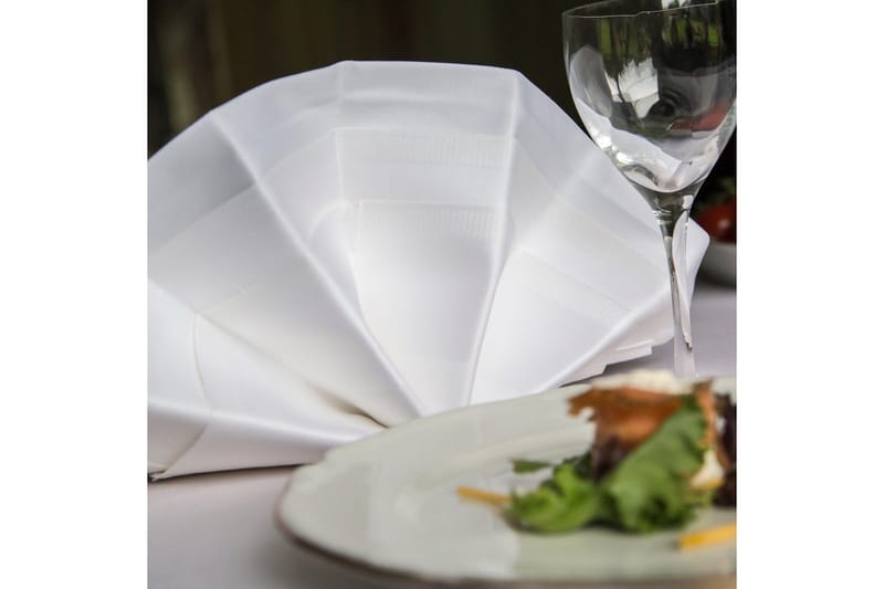 Serviett Fritz Magnus Trading Delight 50 x 50 cm Hvit - Tekstiler - Kjøkkentekstiler - Tøyservietter