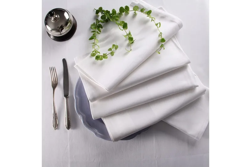 Serviett Fritz Magnus Trading Delight 50 x 50 cm Hvit - Tekstiler - Kjøkkentekstiler - Tøyservietter