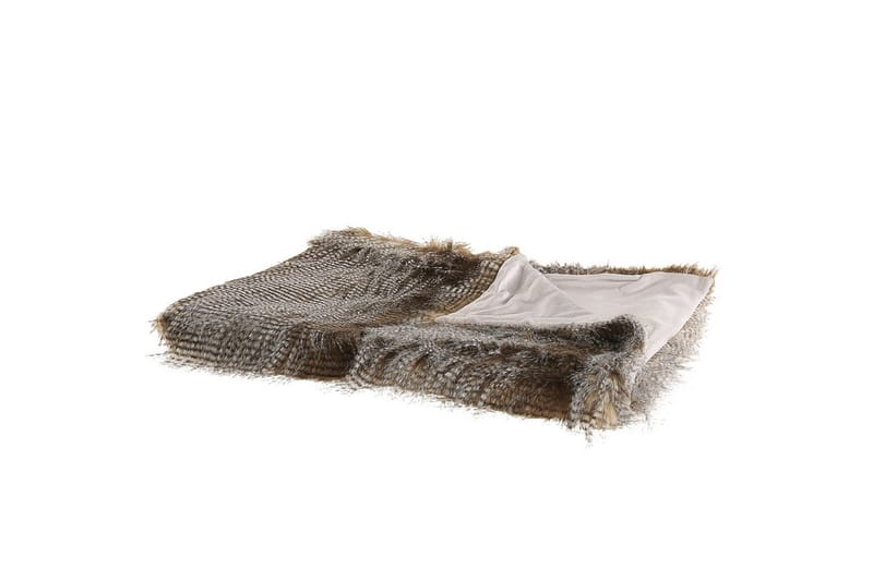 Pledd Asdad, undefined