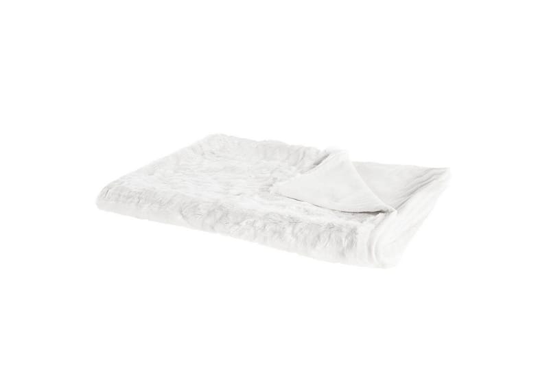 Pledd Tourza, undefined