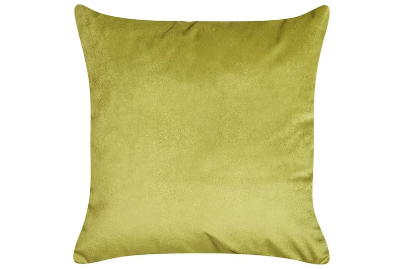 Pynteputer Aeonium sett av 2 Grønn/svart - Grønn/svart - Tekstiler - Pute & pledd - Pynteputer