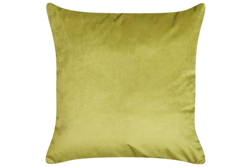 Pynteputer Aeonium sett av 2 Grønn/svart - Grønn/svart - Tekstiler - Pute & pledd - Pynteputer