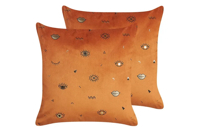 Pynteputer Aeonium sett av 2 Oransje/svart, Oransje/svart