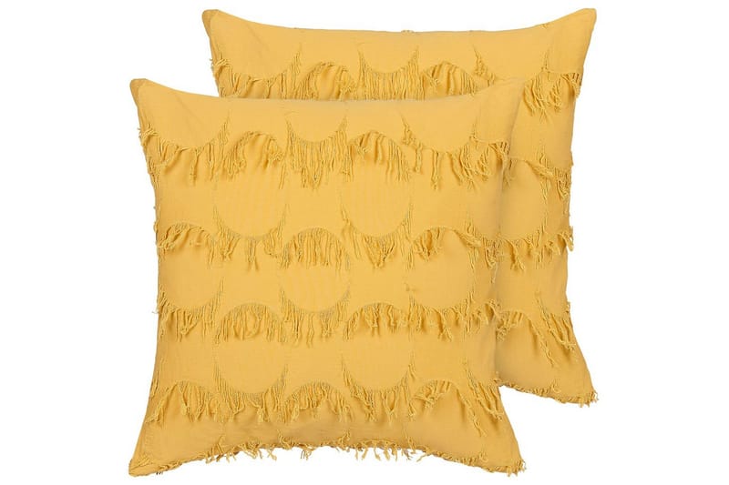 Pynteputer Agastache sett av 2 Gul, Gul