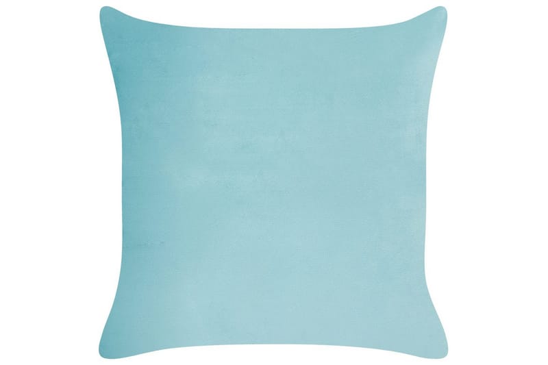 Pynteputer Allium sett av 2 - Tekstiler - Pute & pledd - Pynteputer