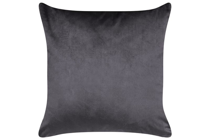 Pynteputer Alyssum sett på 2 Grå/gull, Fløyel - Grå/gull, Fløyel - Tekstiler - Pute & pledd - Hagepute