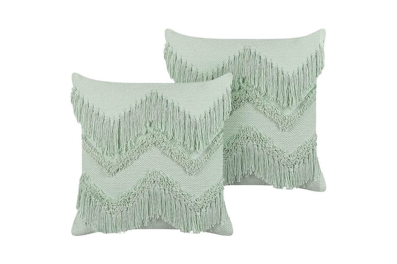 Pynteputer Bacopa sett med 2, undefined