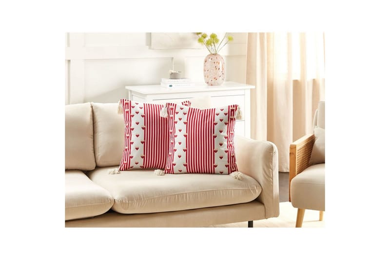 Pynteputer Banksia sett med 2 - Tekstiler - Pute & pledd - Pynteputer