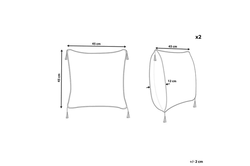 Pynteputer Camellia sett av 2 - Tekstiler - Pute & pledd - Pynteputer