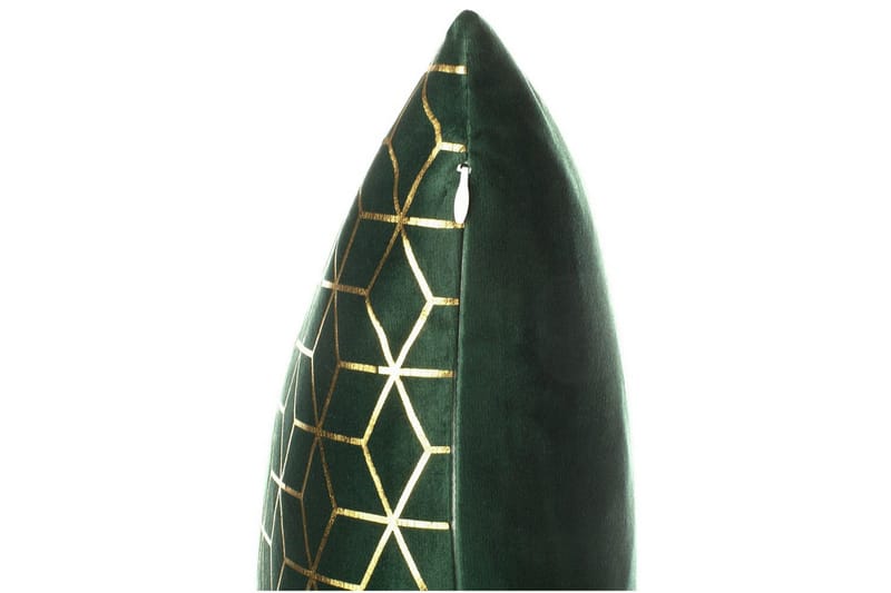 Pynteputer Celosia sett av 2 Grønn/gull - Grønn/gull - Tekstiler - Pute & pledd - Hagepute