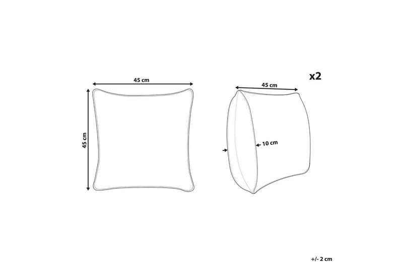 Pynteputer Coneflower sett á 2 - Tekstiler - Pute & pledd - Pynteputer