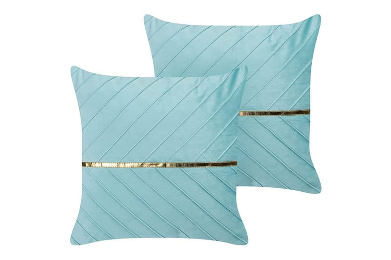 Pynteputer Coneflower sett á 2, undefined