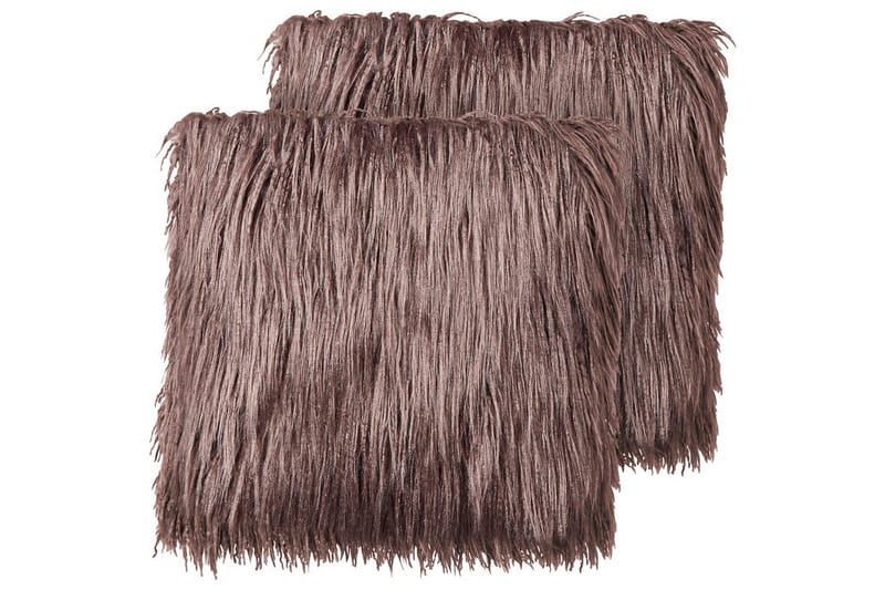 Pynteputer Corokia sett av 2 Brun, Brun