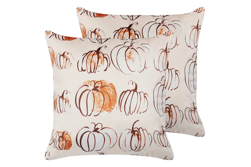 Pynteputer Cucurbita sett á 2, undefined