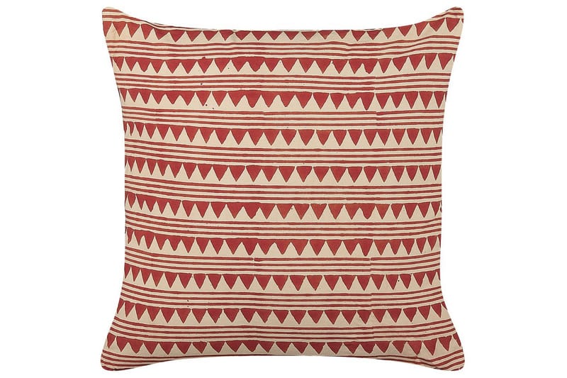 Pynteputer Deglupta, undefined