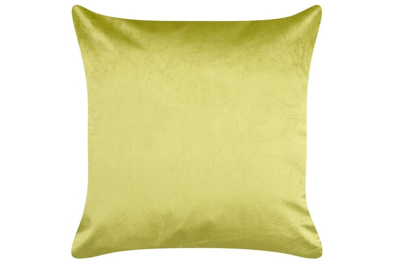 Pynteputer Deliciosa sett med 2 Lysegrønn/gull - Lysegrønn/gull - Tekstiler - Pute & pledd - Pynteputer