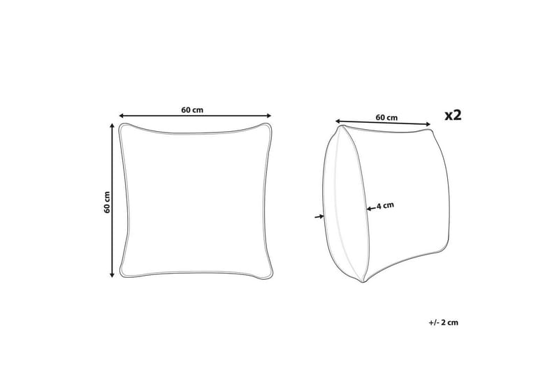 Pynteputer Dianthus sett av 2 - Tekstiler - Pute & pledd - Pynteputer