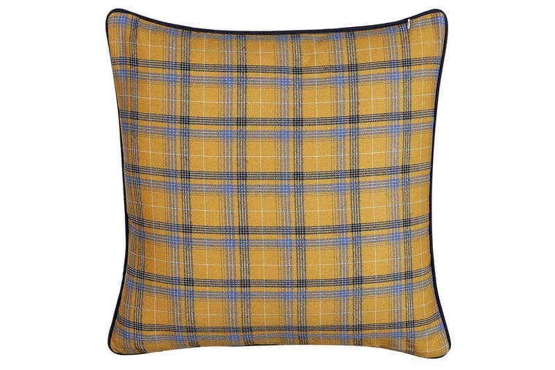 Pynteputer Dicentra, undefined