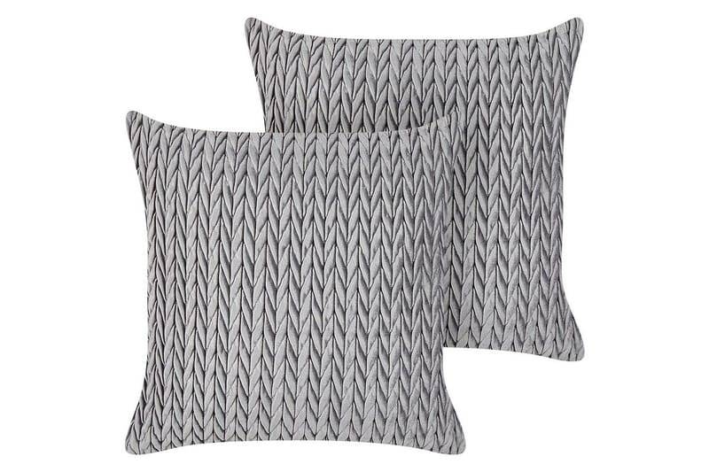 Pynteputer Eclipta sett om 2 Grå, Grå