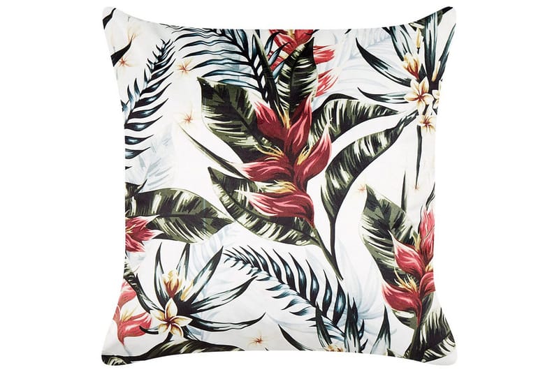 Pynteputer Edelweiss, undefined