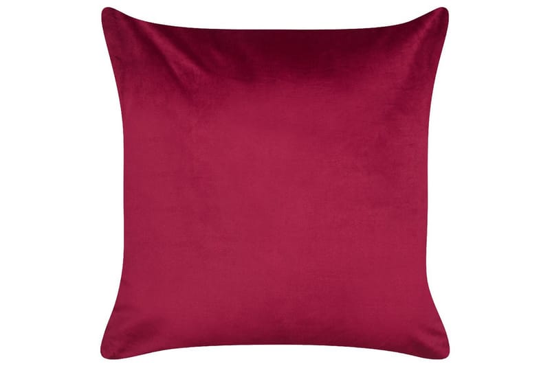 Pynteputer Goldspruce sett á 2 Rød/gull/hvit - Rød/gull/hvit - Tekstiler - Pute & pledd - Pynteputer