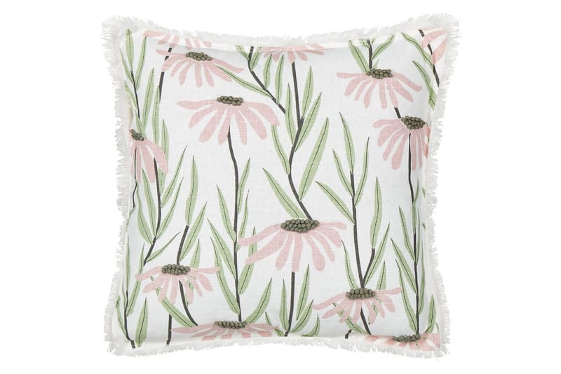 Pynteputer Gynura, undefined