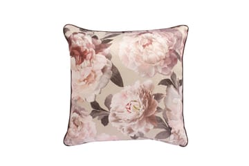 Holly Pute Rosa pioner