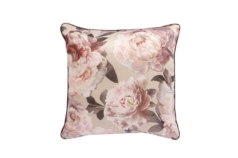 Holly Pute Rosa pioner, Rosa