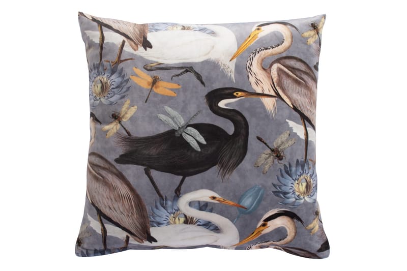 Holly Pute Fugler, undefined