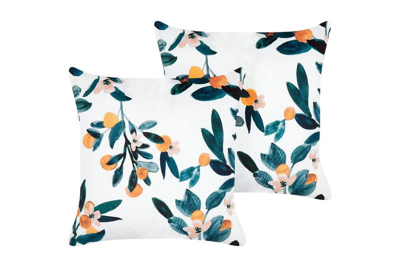 Pynteputer Knautia sett av 2, undefined