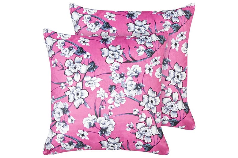 Pynteputer Koeleria sett av 2, undefined