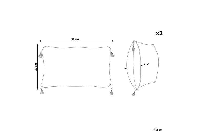Pynteputer Liriope sett av 2 Rektangulær - Rektangulær - Tekstiler - Pute & pledd - Pynteputer